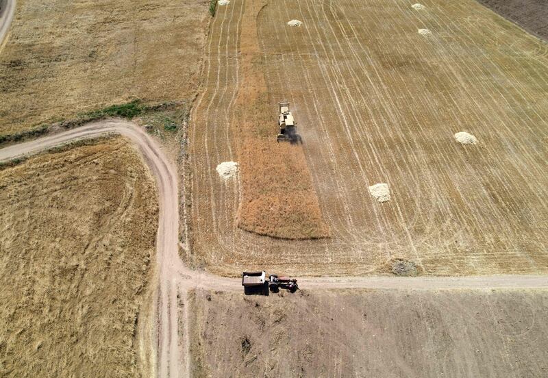 An aerial image of wheat harvesting in the countryside of Syria's north-western city of Afrin.