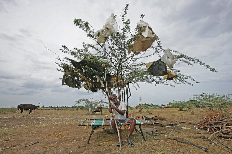A shepherd takes rest under a tree on a dried-up lake on the outskirts of Chennai, India. Reuters
