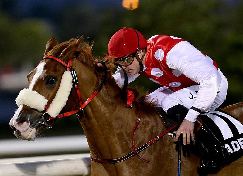 Jockey James Doyle riding Nymphea Du Paon to victory in the first leg of the Arabian Triple Crown at the Abu Dhabi Equestrian Club on January 5, 2014. Satish Kumar / The National