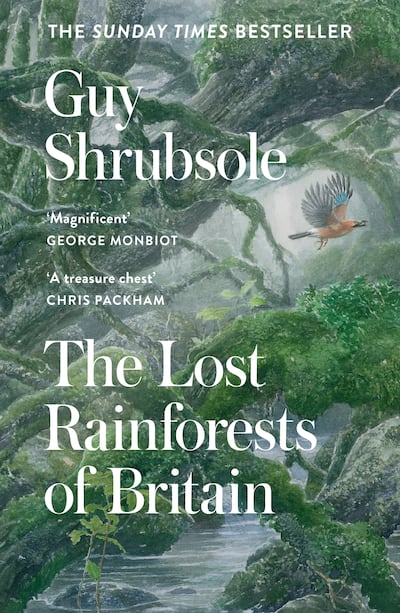 The Lost Rainforests of Britain. Photo: Harper Collins