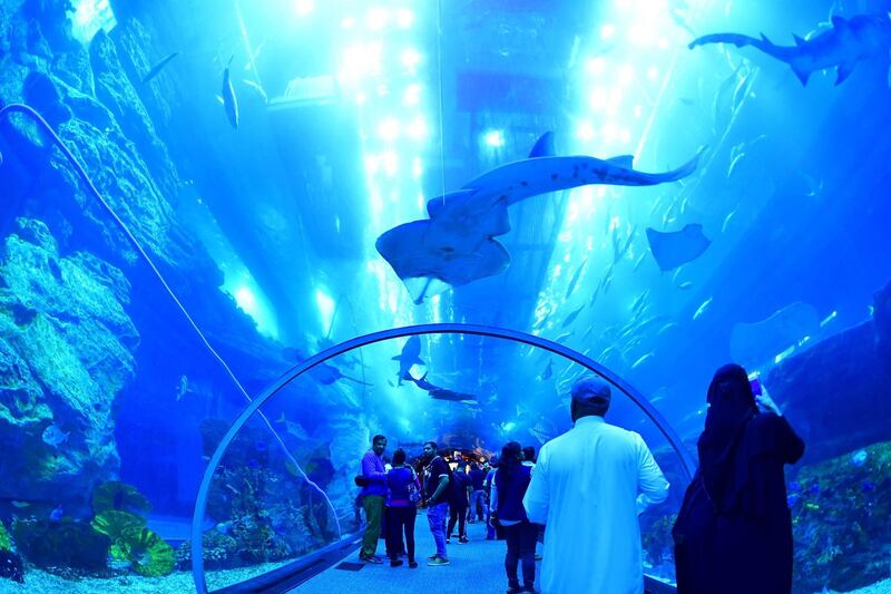 Tourists and locals visit the Dubai Mall aquarium in downtown Dubai. AFP