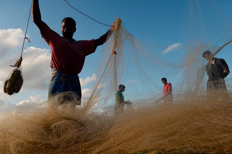 Fishermen collect fishes from a early morning catch during a government-imposed nationwide lockdown as a preventive measure against the COVID-19 coronavirus, in Chennai on April 20, 2020.    / AFP / Arun SANKAR                        
