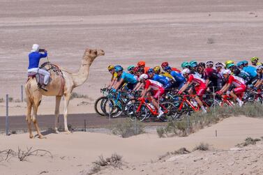The pack rides during the third stage of the UAE Cycling Tour from al-Maroom to Jebel Hafeet, on February 24, 2020. / AFP / Giuseppe CACACE