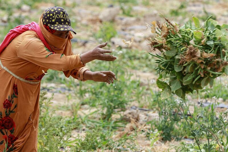 Jordan's Ministry of Environment says it is among the world's four most water-deficient countries and fears global warming will make the situation even worse. AFP