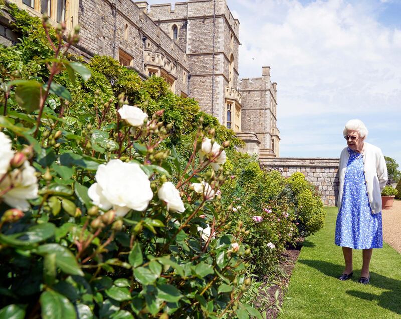 Britain's queen inspects a rose border in the gardens of Windsor Castle, where she has spent much of her time since the start of the pandemic. AFP