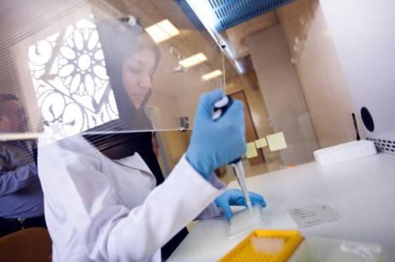 07/10/10 - Abu Dhabi, UAE - Eman Ahmed, 29, works on peptides in a lab at UAE University using frog skin secretions on Thursday October 7, 2010.  The work, led by Dr. Michael Conlon is looking for a superbug cure. (Andrew Henderson / The National)