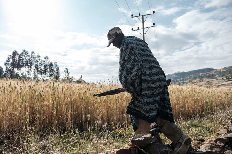 Zeleke Alabachew, farmer and militia fighter, tends to his land near the village of Tekeldengy,  Ethiopia, Africa's second most populous nation.