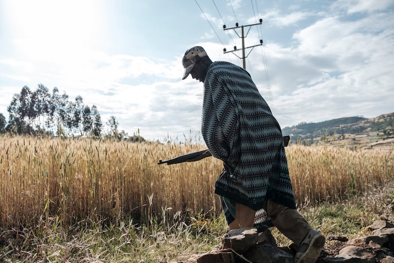 Zeleke Alabachew, farmer and militia fighter, tends to his land near the village of Tekeldengy,  Ethiopia, Africa's second most populous nation.