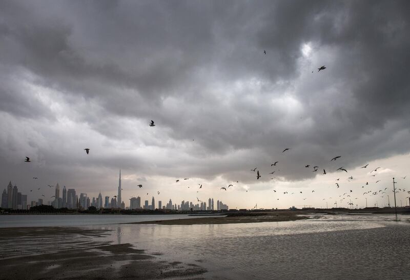 Stormy Skyline of Dubai as Weather approaches, Burj Khalifa in the background with seagulls flying. 