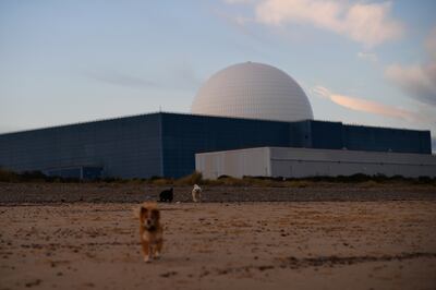 Sizewell in eastern England is already home to one operational and one decommissioned nuclear plant. Reuters 