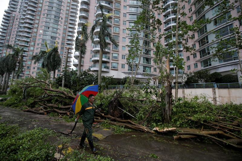 A man walks past fallen trees after Typhoon Mangkhut hit Shenzhen, Guangdong province, China. Reuters