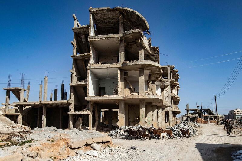 A shepherd in Kobani, northern Syria, follows his goats past rubble and a building destroyed in the country's civil war. AFP