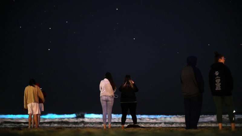 People watch waves glow blue due to bioluminescence at night on Newport Beach, California.  Michael Heiman/Getty Images/AFP