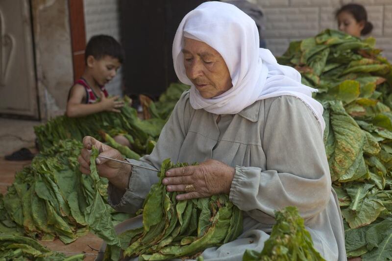 All generations in the Atatarah family help and work in the family’s cottage tobacco industry helping  to produce their final product ,cigarettes.