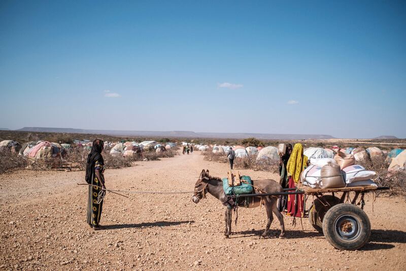 Rural people in Baidoa and Burhakaba districts, and displaced people in Baidoa town and the capital Mogadishu were most at risk