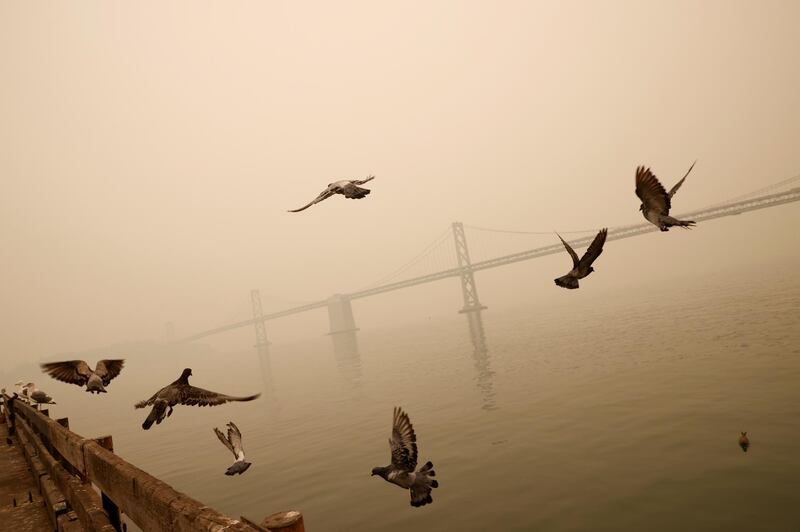 The San Francisco - Oakland Bay Bridge is seen under a smoke-filled sky from various California wildfires in San Francisco, California. Reuters