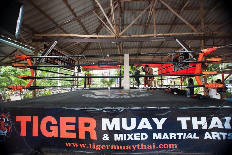 Laura Koot trains P-Noog at Tiger Muay Thai in Phuket, Thailand, Saturday, Jun. 15, 2013. (Photo by Mitch Viquez ©2013)