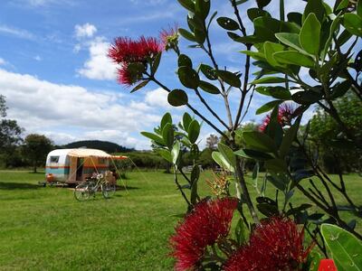 Retro Caravan Nights, Auckland, New Zealand. Photo: Airbnb