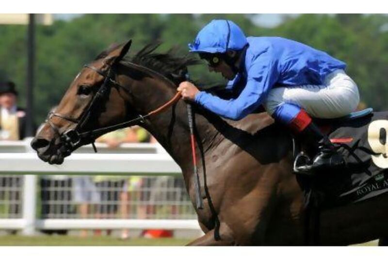 Hibaayeb is one of 10 horses sent by Godolphin to compete in New York.