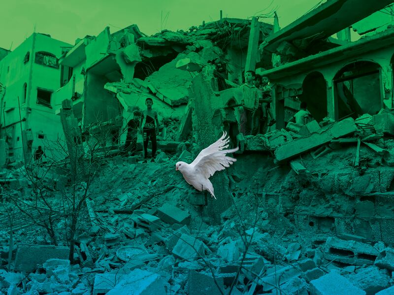A dove flies over the debris of houses destroyed in Israeli strikes, in Khan Younis in the southern Gaza Strip October 11. Reuters