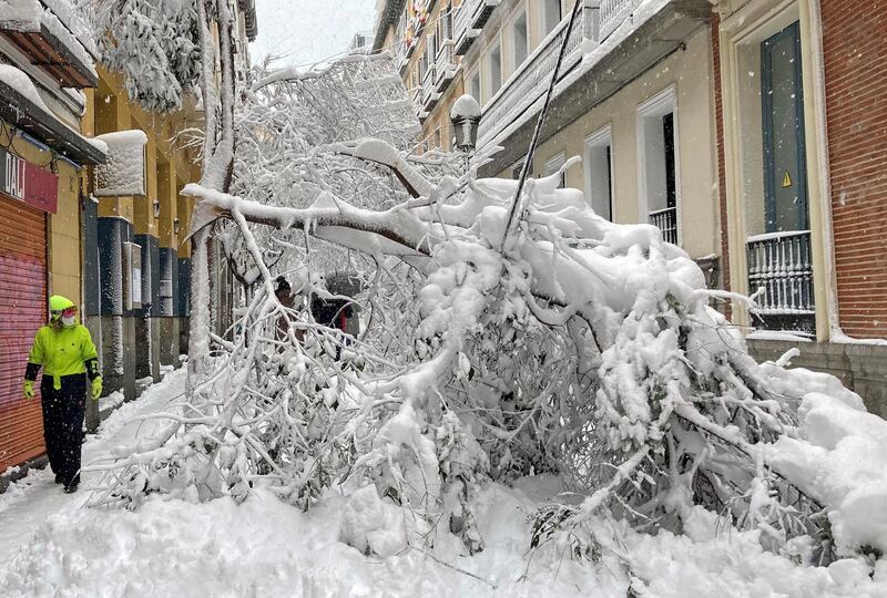 A man walks past trees that have fallen on a street during a heavy snowfall in the centre of Madrid, Spain. Reuters