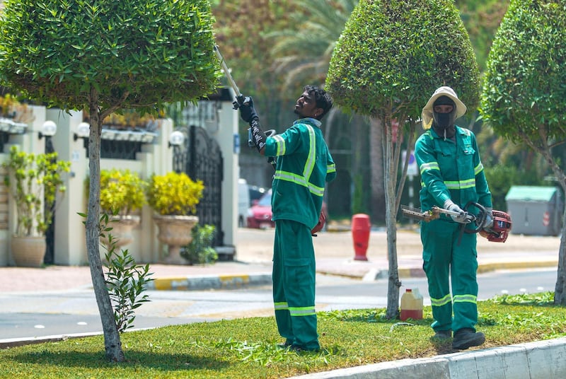 Abu Dhabi, United Arab Emirates, June 3, 2020.   Municipality gardeners trim some trees along the Corniche in preparation for the eventual reopening of Abu Dhabi.Victor Besa  / The NationalSection:  Standalone / Stock