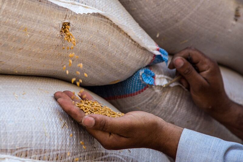 A worker collects wheat grain falling from a sack. Photographer: Islam Safwat / Bloomberg