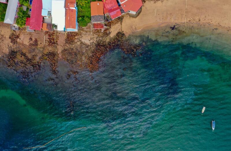 Beaches of Taboga Island in Panama are contaminated by an oil slick. AFP