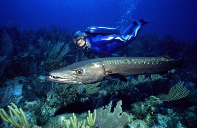 Despite being 81 years old, Jean-Michel Cousteau is not giving up on his plight to save the world's oceans any time soon. Jean-Michel Cousteau