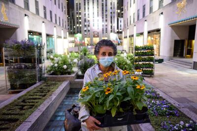 A team of landscapers install Ghada Amer's piece for Frieze Sculpture in the Channel Gardens at Rockefeller Center on Friday night, August 28, 2020. Photograph by Casey Kelbaugh