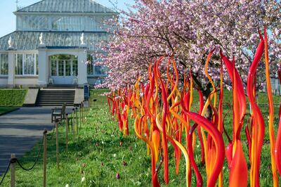 Dale Chihuly, Cattails and Copper Birch Reeds, 2015, Royal Botanic Gardens, Kew, London, installed 2019. Chihuly Studio / Royal Botanic Gardens, Kew