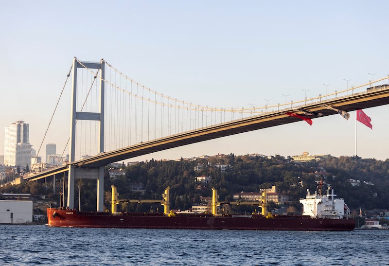 Zante, a cargo ship carrying Ukrainian grain, travels through the Bosphorus in Istanbul in November.  Reuters
