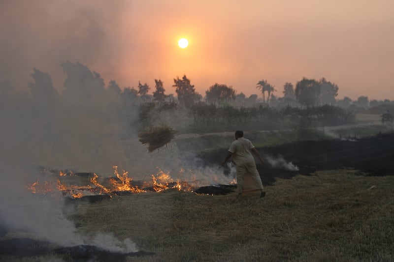 The post-harvest burning of straw stubble to make way for the following years sowing has been a source of environmental pollution in Egypt. AFP