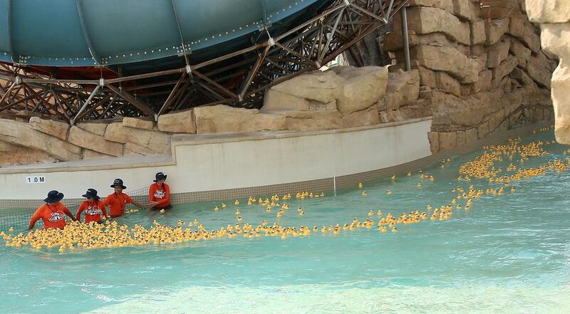 More than 2,000 thousand rubber ducks race for charity raising over Dh60,000 for the Make-A-Wish UAE Foundation at Yas Waterworld in Abu Dhabi. Ravindranath K / The National