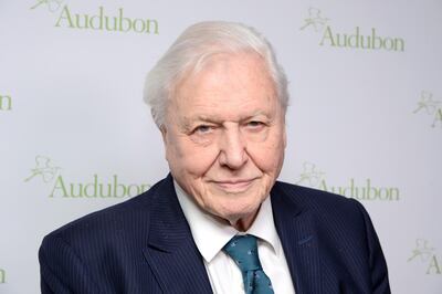 NEW YORK, NY - MARCH 01:  Sir David Attenborough attends The National Audubon Society's 2018 New York City Gala at The Rainbow Room on March 1, 2018 in New York City.  (Photo by Andrew Toth/Getty Images)