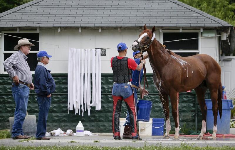 Co-owner Steve Coburn, far left, and trainer Art Sherman, second from left, watch as California Chrome is bathed after a workout. Julie Jacobson / AP Photo