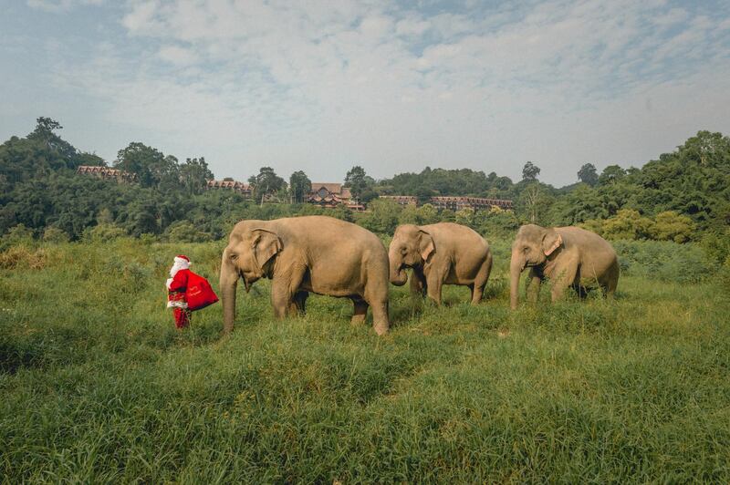 Santa Claus taking a stroll with some of the resident elephants at Thailand's Anantara Golden Triangle. Courtesy Anantara Golden Triangle