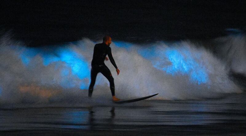 A surfer rides a wave as bioluminescent plankton lights up the surf around him during the coronavirus outbreak in Newport Beach, California (AP Photo/Mark J. Terrill)