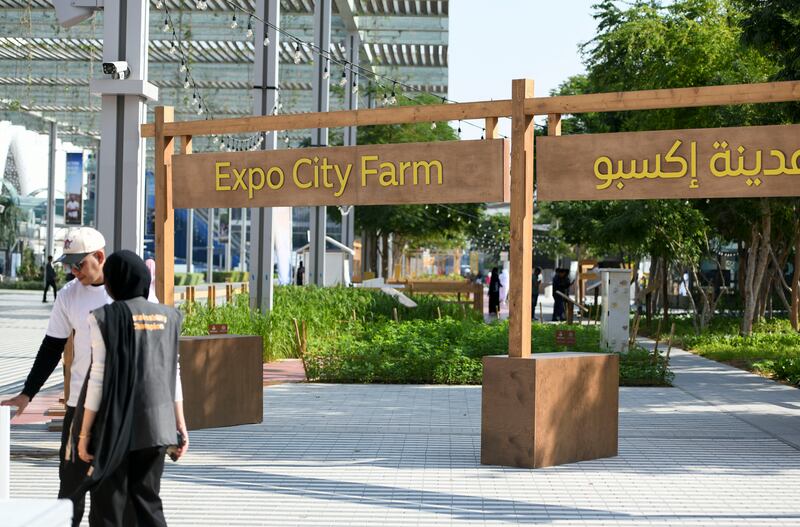 Expo City Farm will continue running in Dubai even though Cop28 has closed. Khushnum Bhandari / The National
