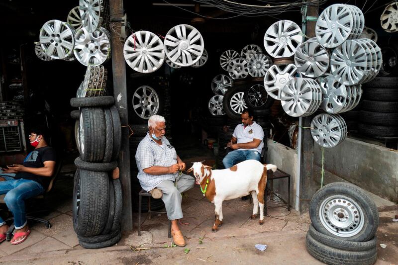 A man feeds a goat at his auto-parts shop in the old quarters of New Delhi ahead of Eid Al Adha.  AFP