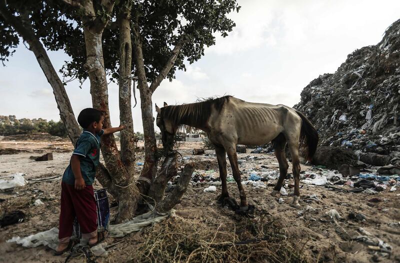 A Palestinian child looks at a horse in an impoverished neighbourhood of the Khan Younis refugee camp in southern Gaza Strip. The US said yesterday that it had cancelled more than two hundred million dollars in aid for the Palestinians in the Gaza Strip and West Bank. AFP