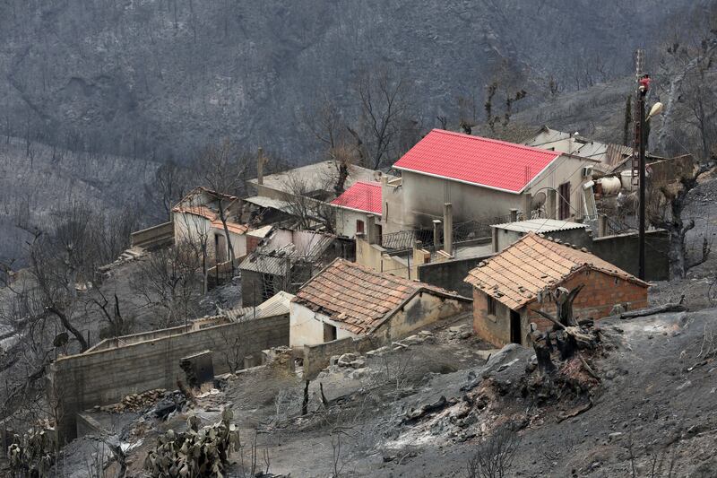Houses damaged by the forest fires in De Oeud Das village. EPA