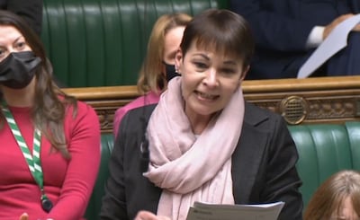 Caroline Lucas announced she would not seek re-election last year, saying being an MP meant she struggled to find time to campaign for environmental issues. PA 