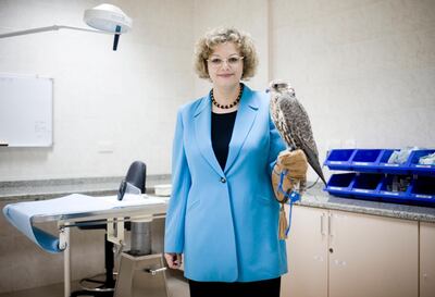 Abu Dhabi - September 17, 2009: Director of the Abu Dhabi Falcon Hospital, Dr. Margit Muller, poses in the hospital with one of the hospital's falcons. Lauren Lancaster / The National *** Local Caption ***  LL_17.09.09 - Dr.Muller023.jpg