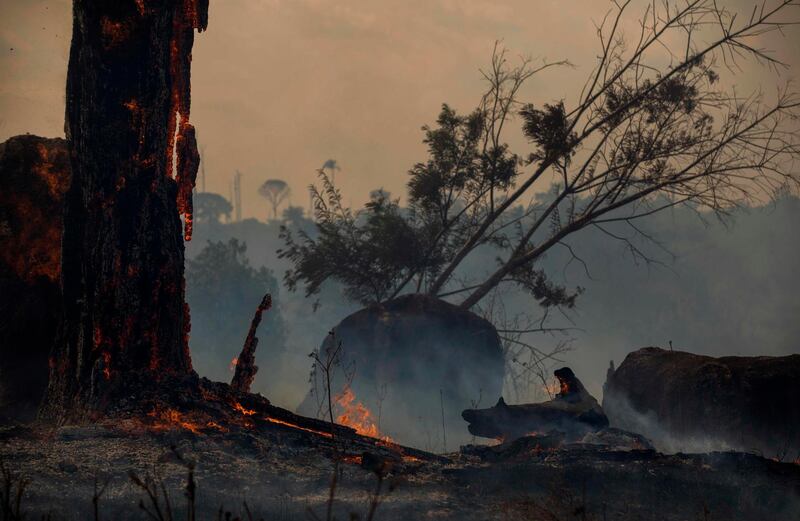 A burnt area of forest in Altamira, Para state. AFP