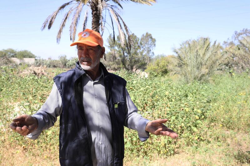 Khalifa Ramadan is the leader of the Friends of the Tree group that works raise awareness about green areas around Tripoli that are fast disappearing