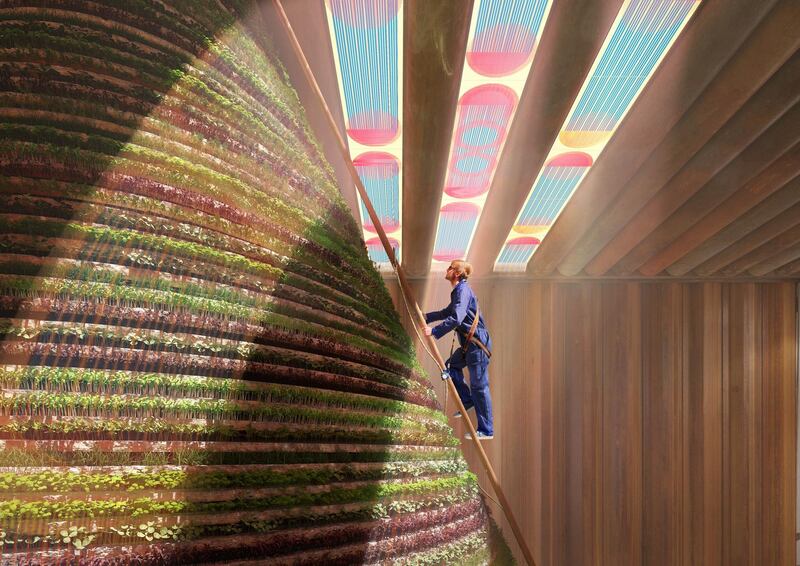 FOR RAMOLA'S STORY ON NETHERLANDS EXPO PAVILION. A ‘rainmaker’ inside the Netherlands pavilion at Expo 2020 Dubai will harvest water, irrigate the plants and keep the interior cool. Courtesy: V8 Architects