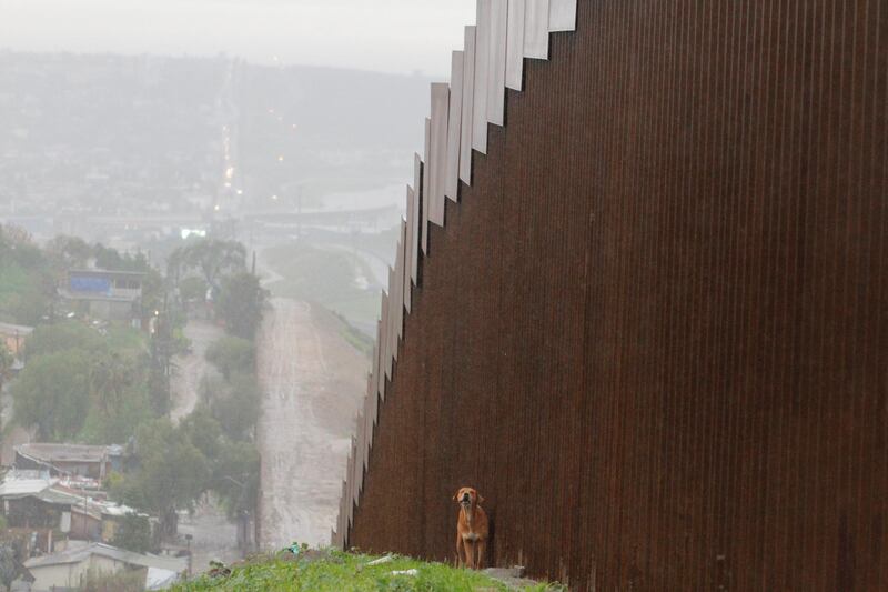 A dog barks while standing next to the border fence between Mexico and the US. Reuters