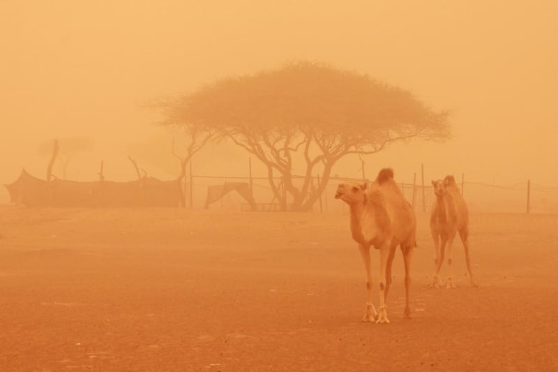 DUBAI, UAE. April 2, 2015 - Scenes outside Fujairah during a sandstorm that swept into the United Arab Emirates, April 2, 2015. (Photos by: Sarah Dea/The National, Story by: Standalone, news)
 *** Local Caption ***  SDEA020315-sandstorm04.JPG