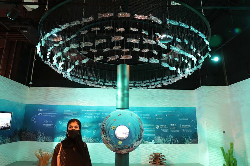 A visitor to the Seychelles pavilion, where there is an opportunity to learn about the country's unique ecosystem.